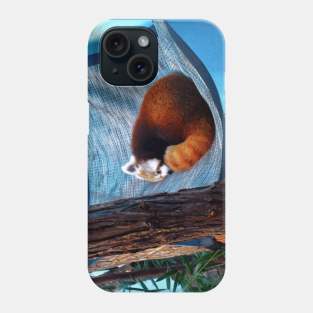 Sleepy Redpanda Phone Case