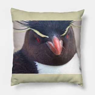 PENGUIN LOOKING AT YOU Pillow