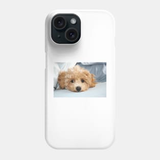 Sleepy Maltipoo Puppy Phone Case