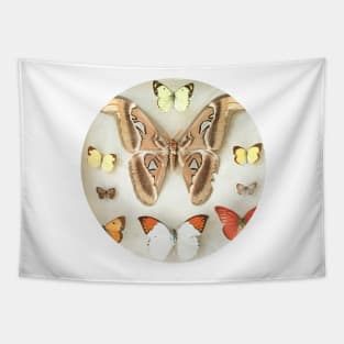 Butterflies and Moths Tapestry