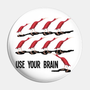 Use your brain Pin