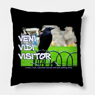 Veni Vidi Visitor - I came, I saw, I perched and sat and nothing more Pillow