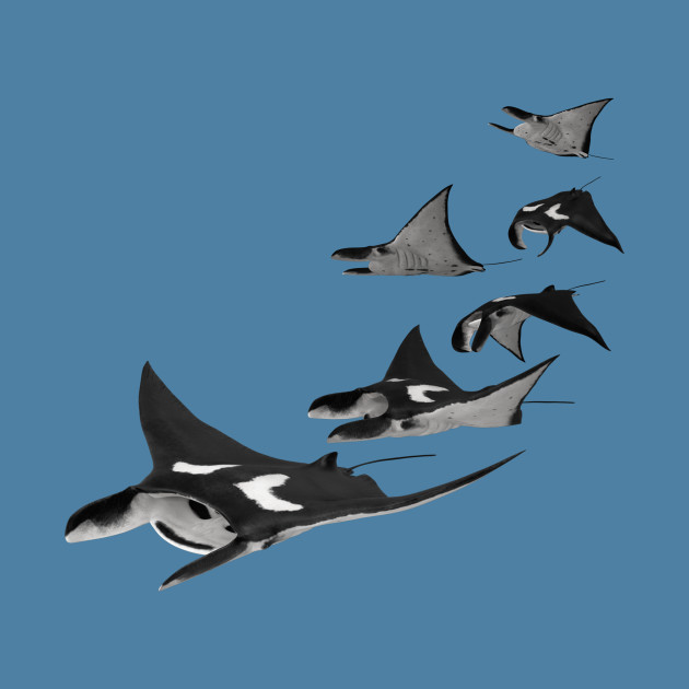 manta ray pillow