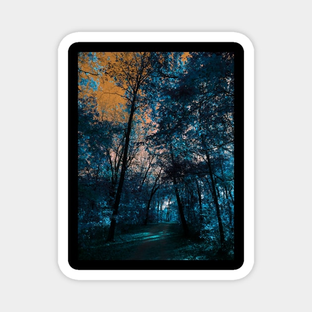 Majestic Fantasy Fall Wooded Trail Scene with Blue Foliage and Orange Sky - Indian Creek Trail Kansas City Magnet by Zen Goat 