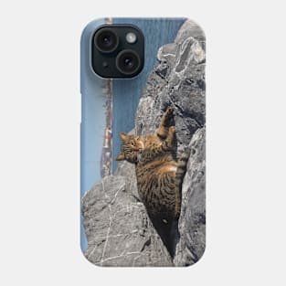 Istanbul Cat Phone Case