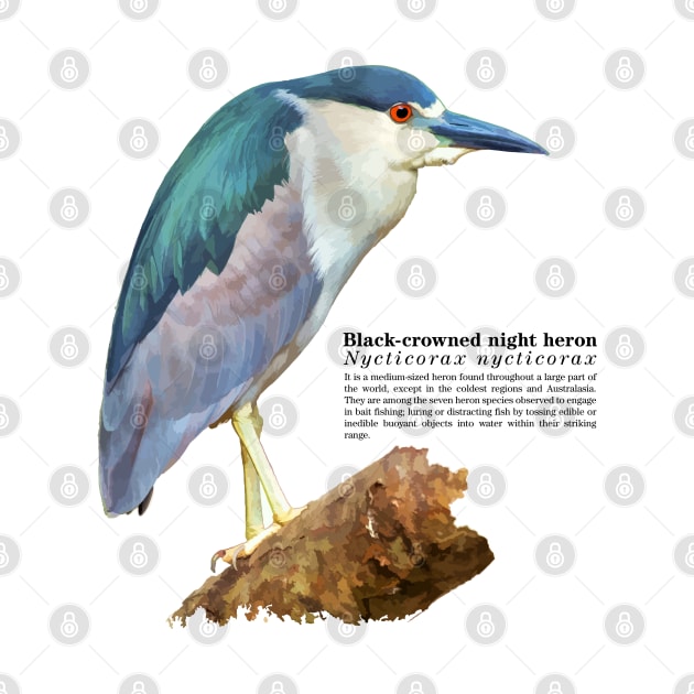 Black-crowned night heron tropical bird black text by Ornamentum