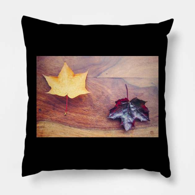 Juxtaposition Pillow by Debra Cox 