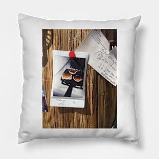 Death Valley flap jacks Pillow