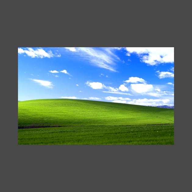 Windows XP Meadow by michaelkdamron