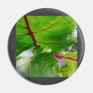 Red Beet Foliage Pin