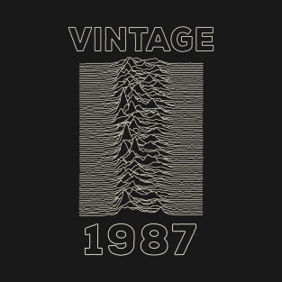 Vintage 1987 - Unknown Pleasures T-Shirt