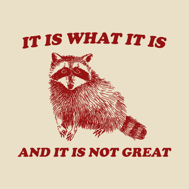 It Is What It Is And It Is Not Great, Funny Sweatshirt, Raccoon Sweatshirt, Cartoon Meme Top, Vintage Cartoon by CamavIngora