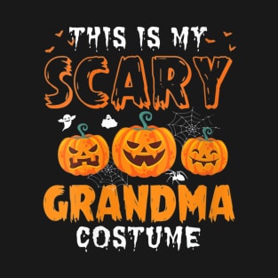 Womens Funny This Is My Scary Grandma Halloween Costume Party Shirt T-Shirt