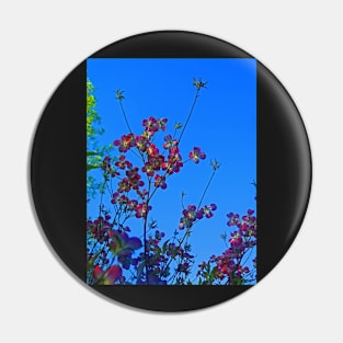 Flying Dogwood Pin