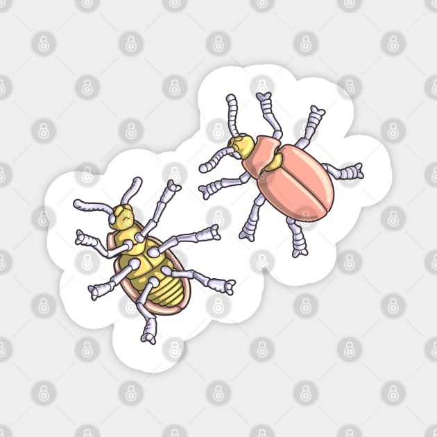 Beetle Morphology Illustration - Entomology, Coleoptera Diagram Magnet by taylorcustom