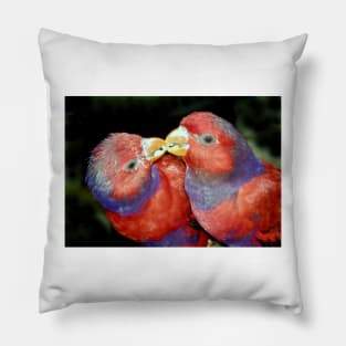 Kissing Birds Pillow