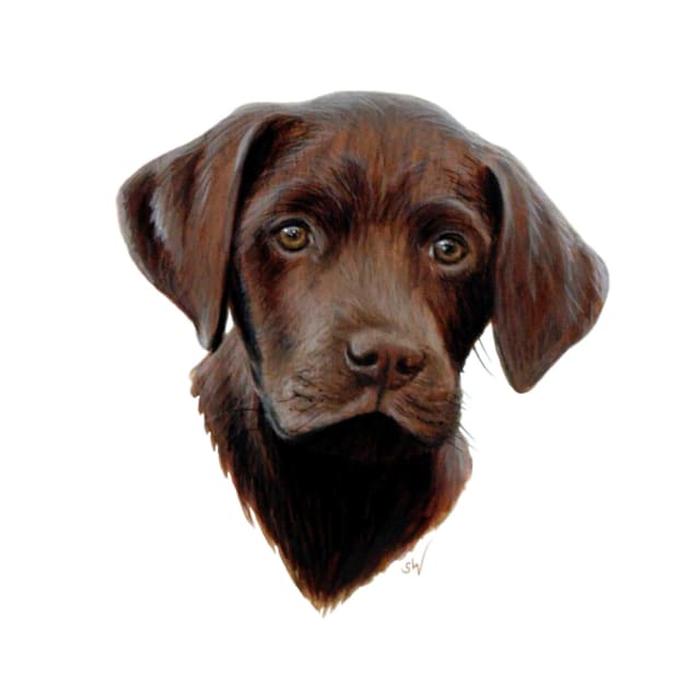 Chocolate Labrador Puppy Painting by Sandra Warmerdam