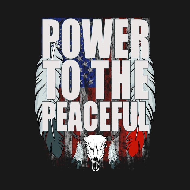 Power to the peaceful Native American protest shirt by Carrie T Designs