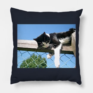 Hanging Out Pillow