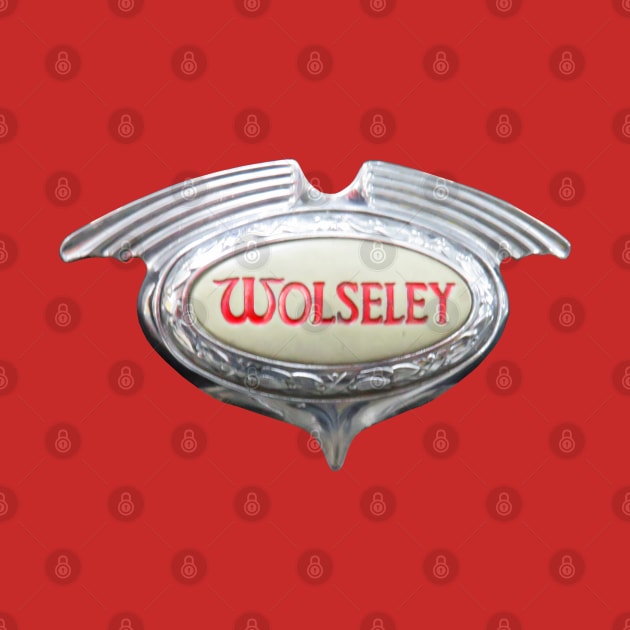 Wolseley 1960s British classic car badge photo by soitwouldseem