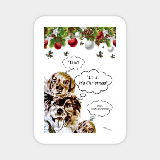 Dogs - It is, it's Christmas Magnet