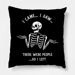 I Came I Saw There Were People So I Left Pillow