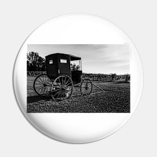 Old Horse Buggy BW 4 Pin