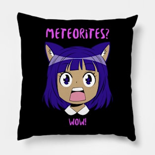 Meteorite Collector "Meteorites? WOW!" Meteorite Pillow