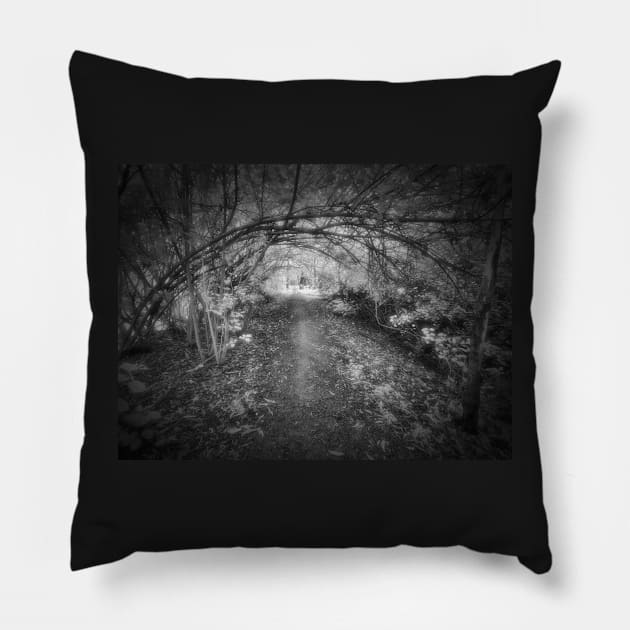 Silver Path Pillow by MattNQ