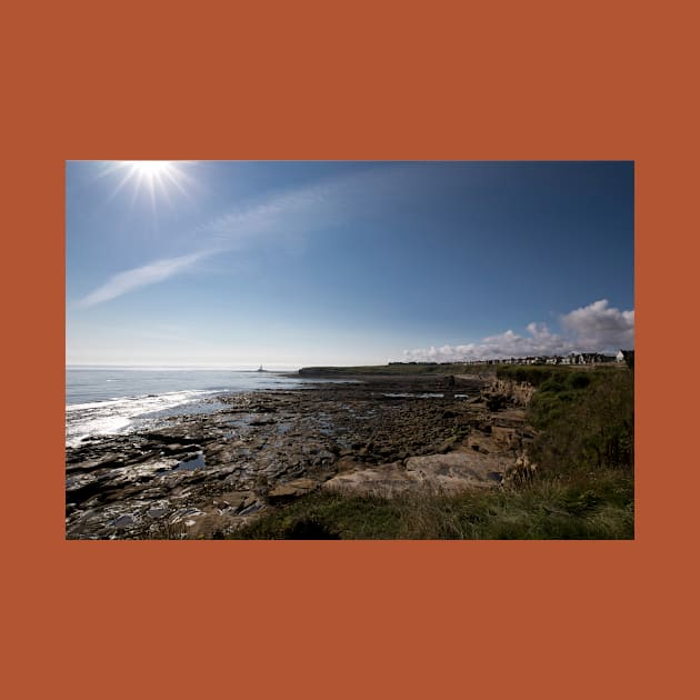 Summer at Collywell Bay by Violaman