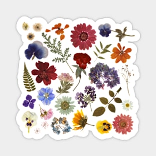 Pressed Flowers Magnet