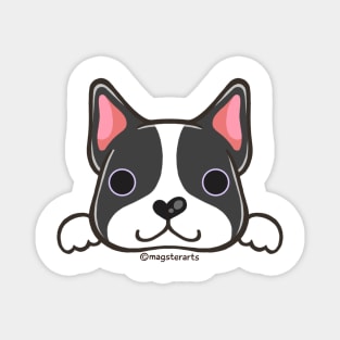 Boston Terrier Magnet