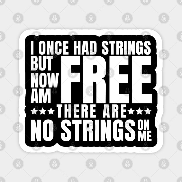 I once had strings but now am free, there are no strings on me Magnet by ioncehadstrings