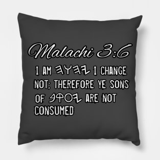 Malachi 3:6 Pillow