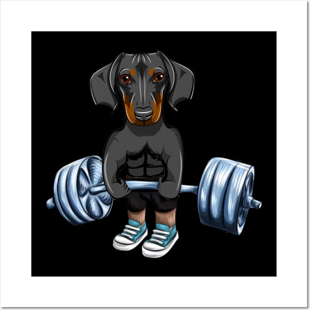 Dachshund weight lifting shirt, ladies shirt, hoodie, sweater