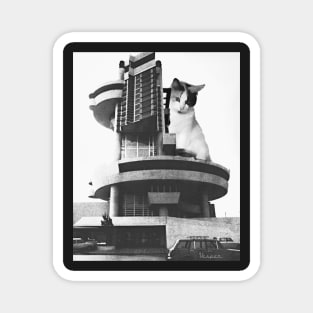 Cats and Brutalist Architecture Magnet