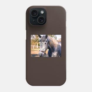 Equine Greeting Phone Case