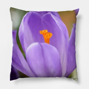 Crocus Pillow