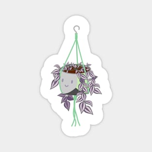 tradscantia plant in aromantic pride pot Magnet