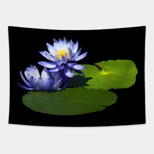 Water Lilies - Purple Water Lilies in Sunshine Tapestry