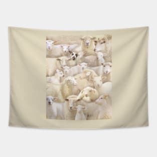 Sheeps Tapestry