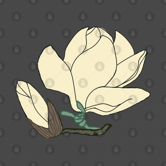 Magnolia in White by Manitarka