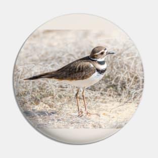 Single Killdeer Pin