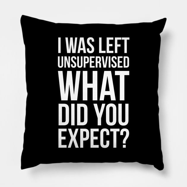 I Was Left Unsupervised What Did You Expect? Pillow by evokearo