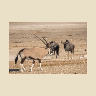 Namibia. Etosha National Park. Oryx and Wildebeest. T-Shirt