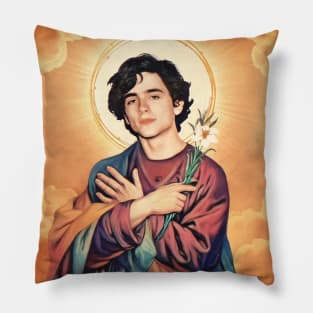 Saint Timothee Chalament (Elio) Pillow