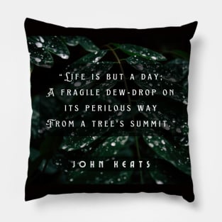 John Keats quote:  life is but a day; A fragile dew-drop on its perilous way From a tree's summit Pillow