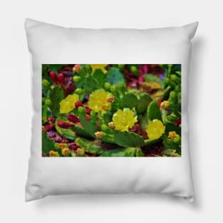 Prickly Pear Cactus Pillow