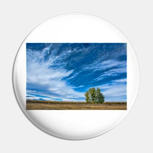 Blue Skies Sing Of Trees Pin