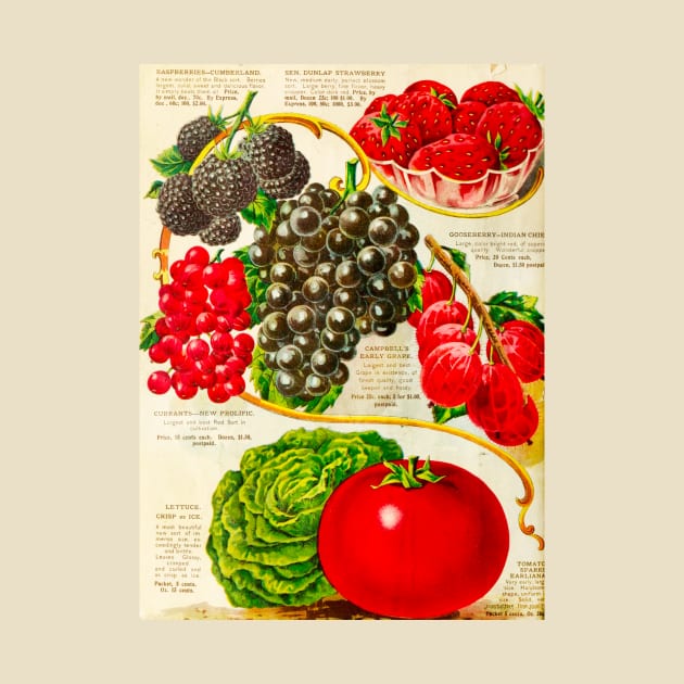 Vintage Seed Store Catalogue by WAITE-SMITH VINTAGE ART